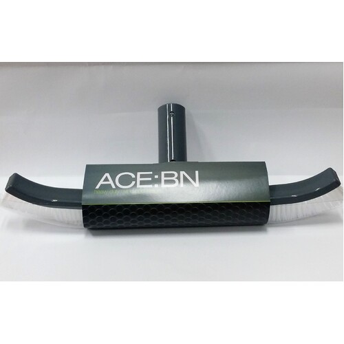 Focus Pool Brush